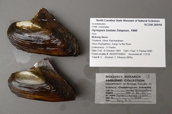 image of lot NCSM_26916