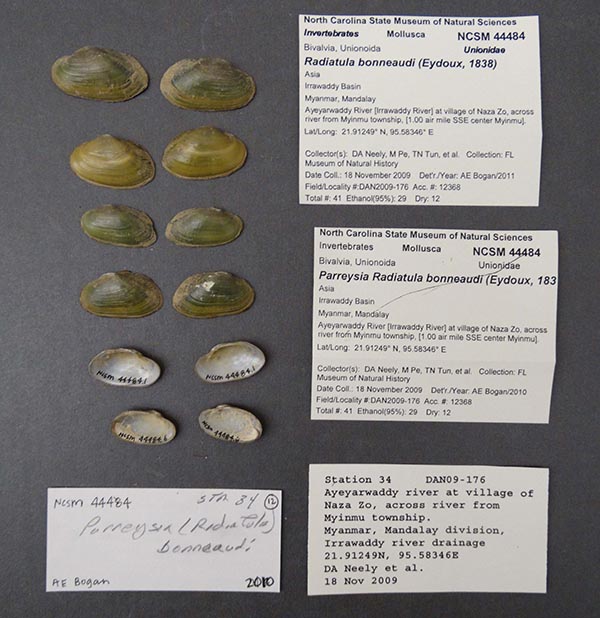 image of lot NCSM_44484