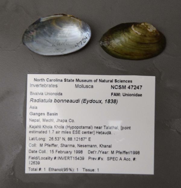 image of lot NCSM_47247