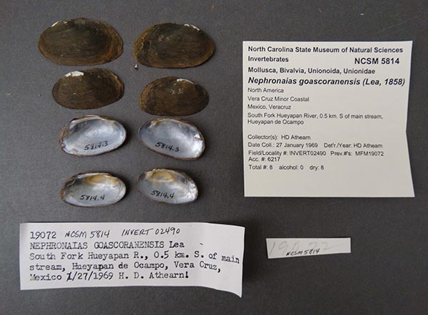 image of lot NCSM_5814 image of lot NCSM_5814