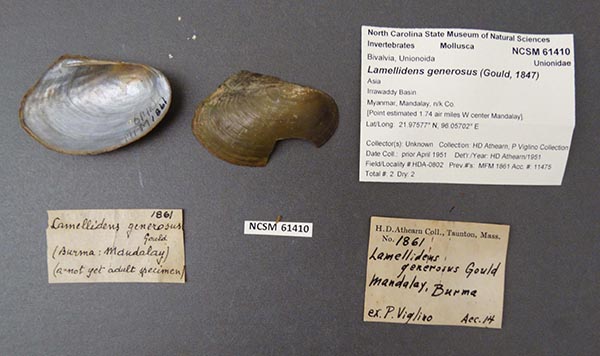 image of lot NCSM_61410