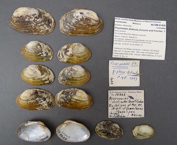 image of lot NCSM_61426