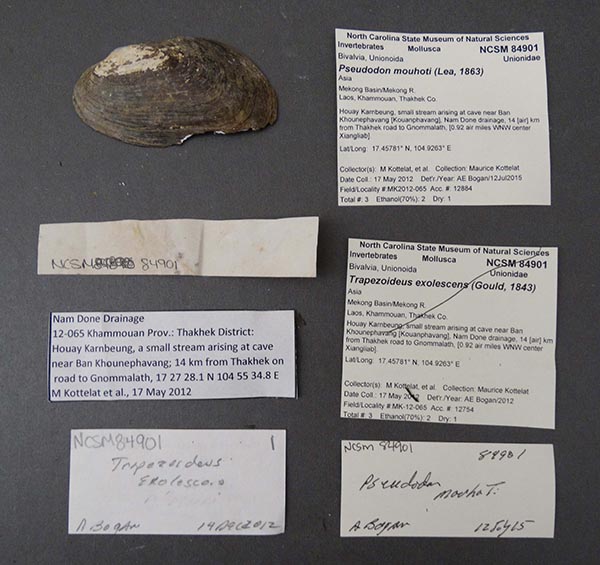 image of lot NCSM_84901