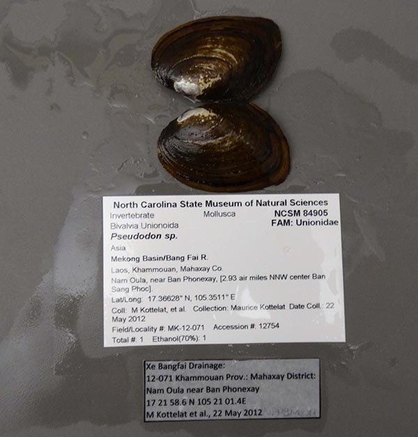 image of lot NCSM_84905