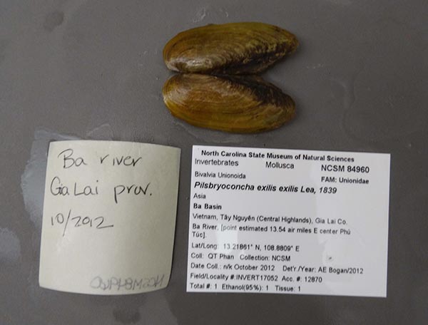 image of lot NCSM_84960