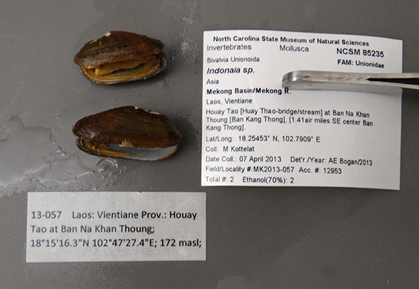 image of lot NCSM_85235