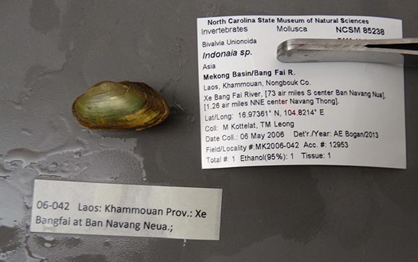 image of lot NCSM_85238