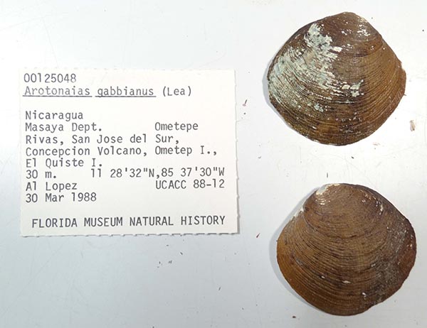 image of lot UF_125048