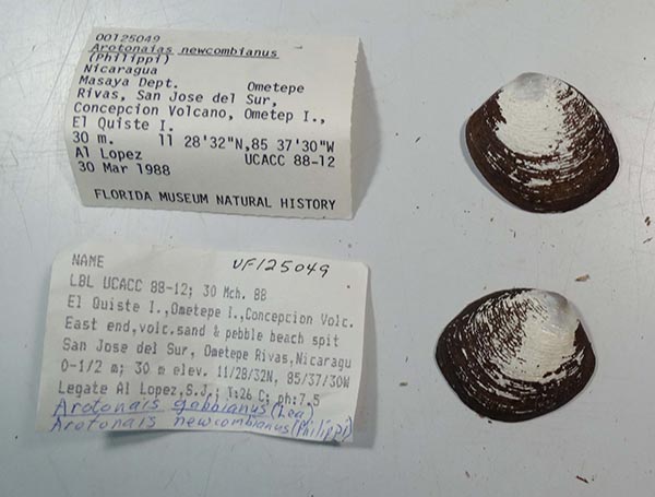 image of lot UF_125049