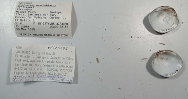 image of lot UF_125049