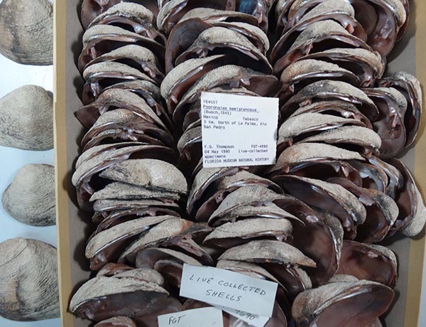 image of lot UF_164057