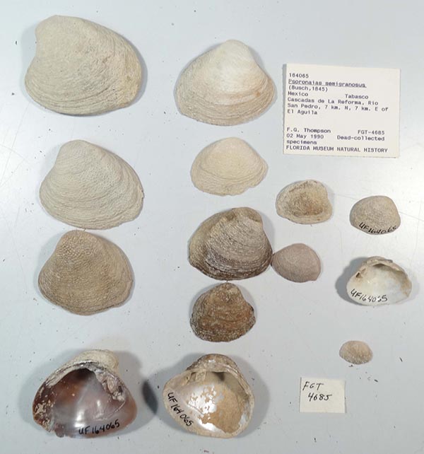 image of lot UF_164065