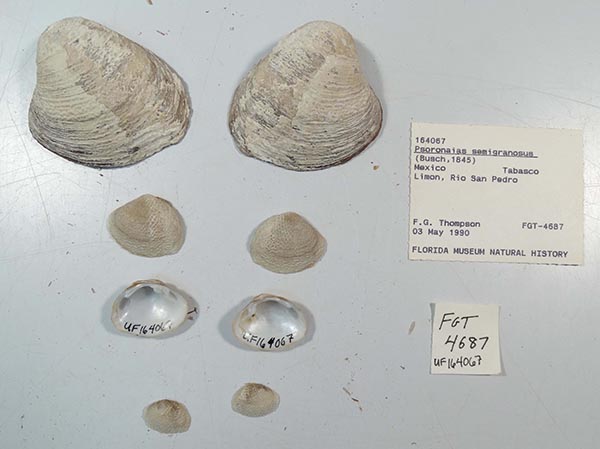 image of lot UF_164067