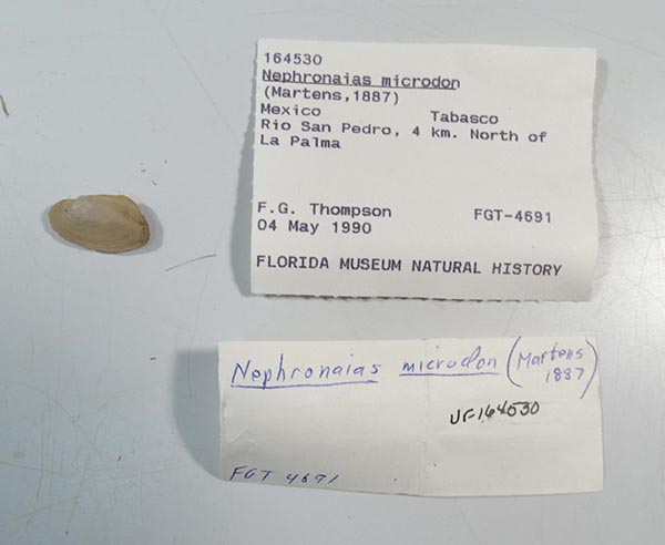 image of lot UF_164530