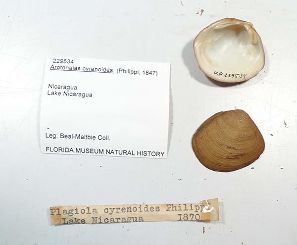 image of lot UF_229534