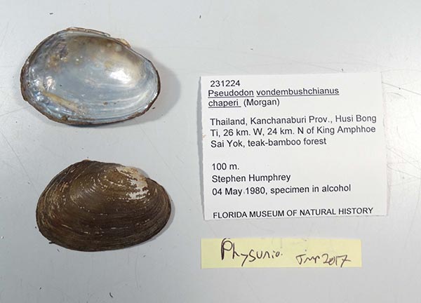 image of lot UF_231224