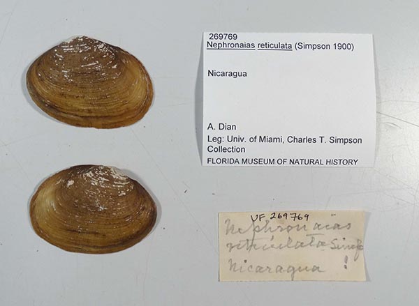 image of lot UF_269769