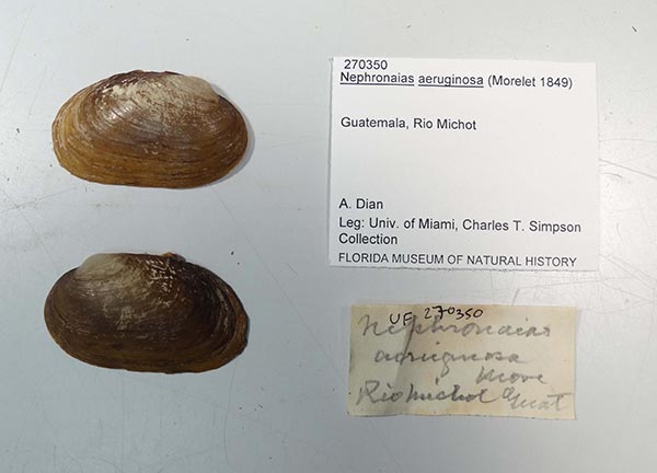 image of lot UF_270350