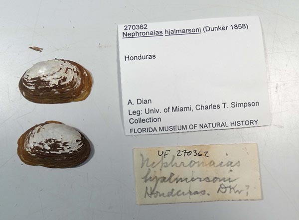 image of lot UF_270362