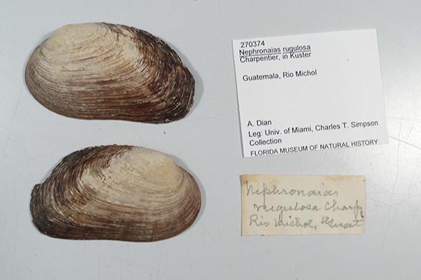 image of lot UF_270374