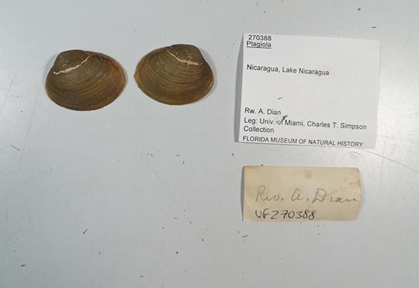 image of lot UF_270388