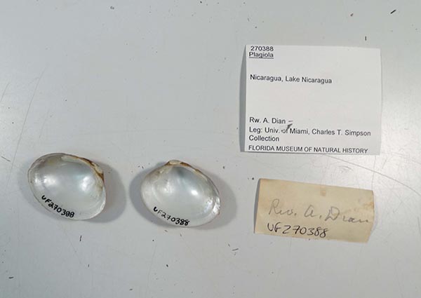 image of lot UF_270388