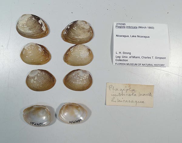 image of lot UF_270390