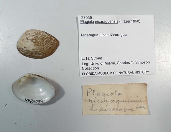 image of lot UF_270391