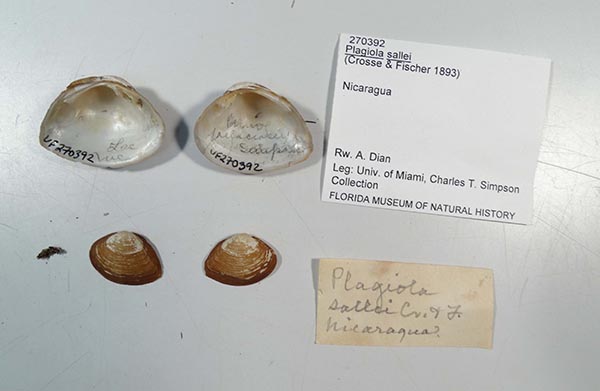 image of lot UF_270392