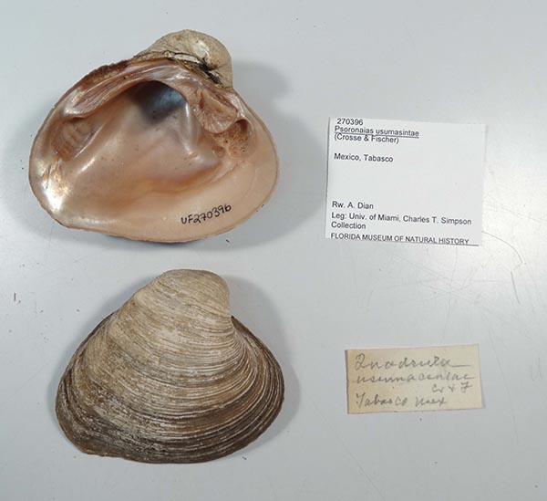 image of lot UF_270396