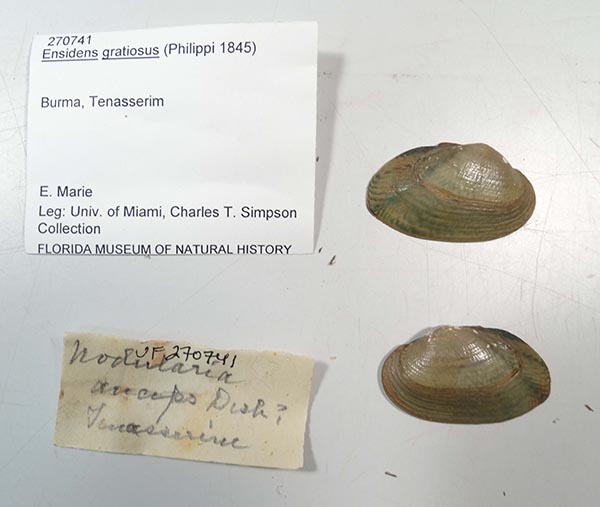 image of lot UF_270741