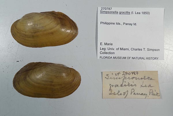 image of lot UF_27078