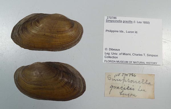 image of lot UF_270786