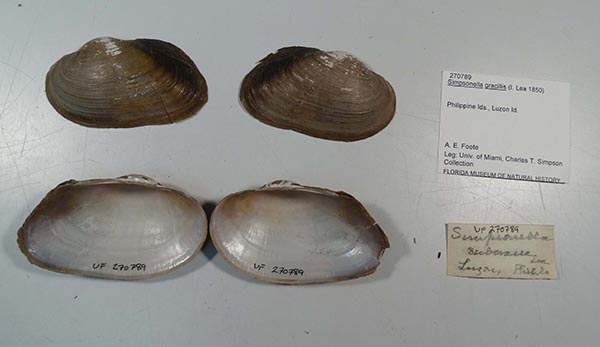 image of lot UF_270789