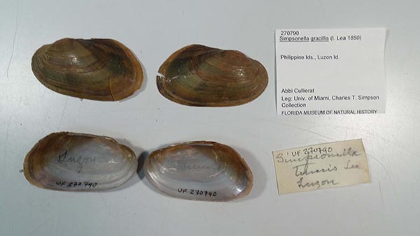 image of lot UF_270790