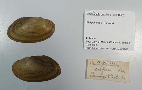 image of lot UF_270793