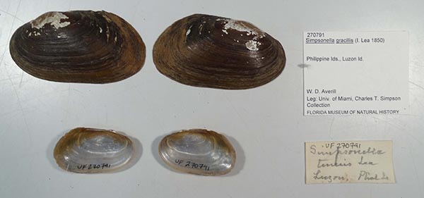 image of lot UF_27091