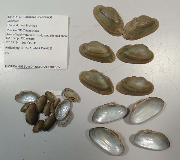 image of lot UF_345423