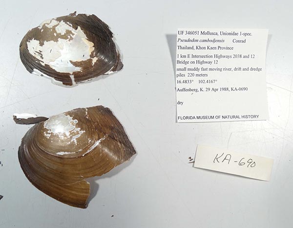 image of lot UF_346051