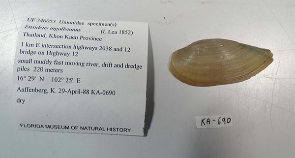 image of lot UF_346053