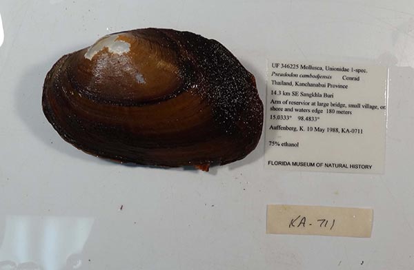 image of lot UF_346225