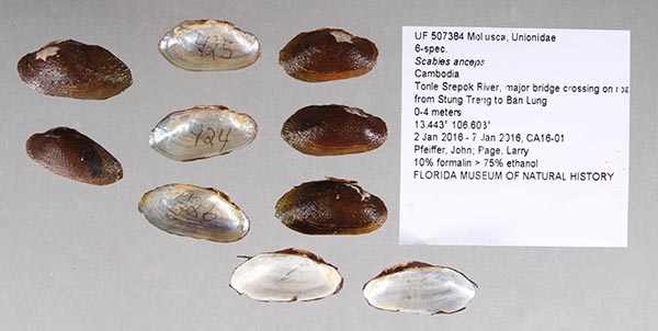 image of lot UF_507384