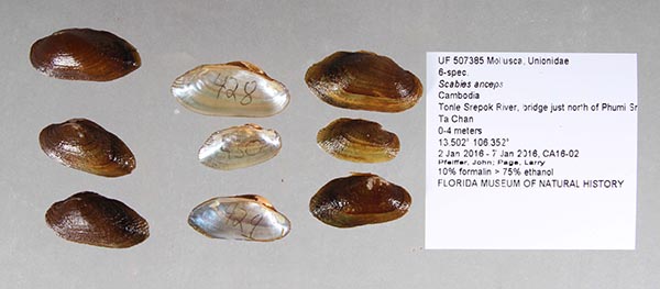 image of lot UF_507385