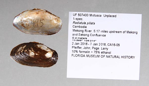 image of lot UF_507400