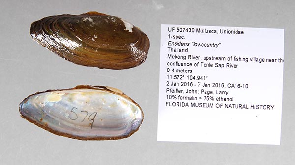 image of lot UF_507430