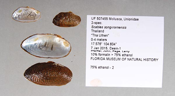 image of lot UF_507455