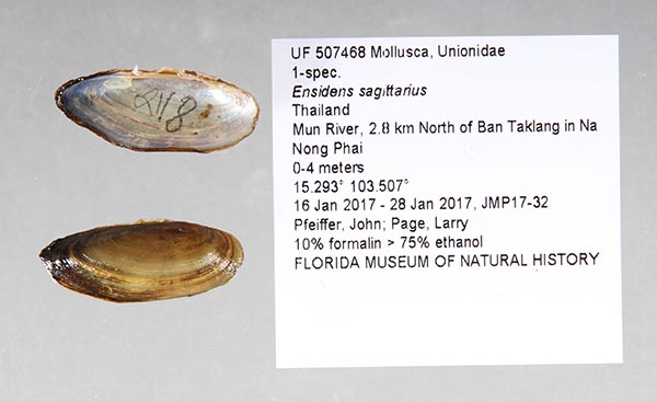 image of lot UF_507468