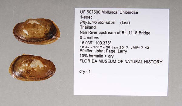 image of lot UF_507500