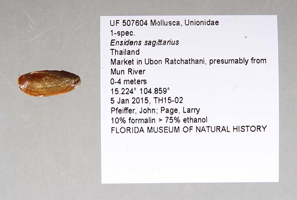 image of lot UF_507604