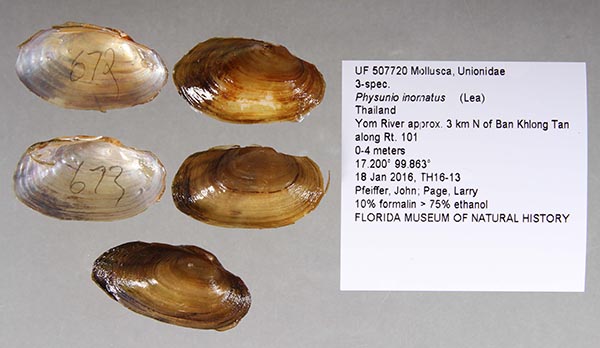 image of lot UF_507720